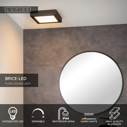 Lucide BRICE-LED - Flush ceiling light Bathroom - LED Dim. - 1x22W 3000K - IP44 - Black - USP
